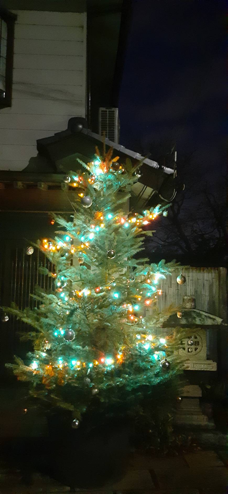 クリスマスツリー設置